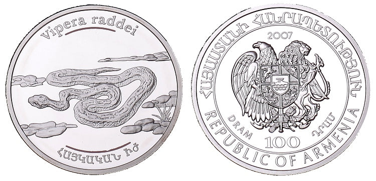Zwierzęta Kaukazu - żmija