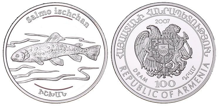 Zwierzęta Kaukazu - pstrąg