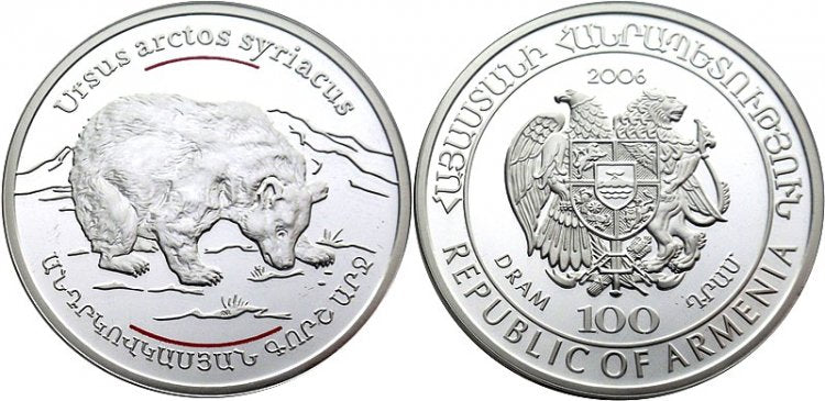Zwierzęta Kaukazu - niedźwiedź