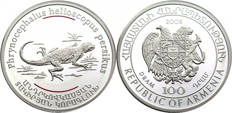 Zwierzęta Kaukazu - jaszczurka