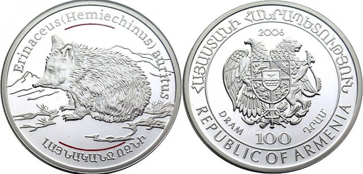 Zwierzęta Kaukazu - jeż